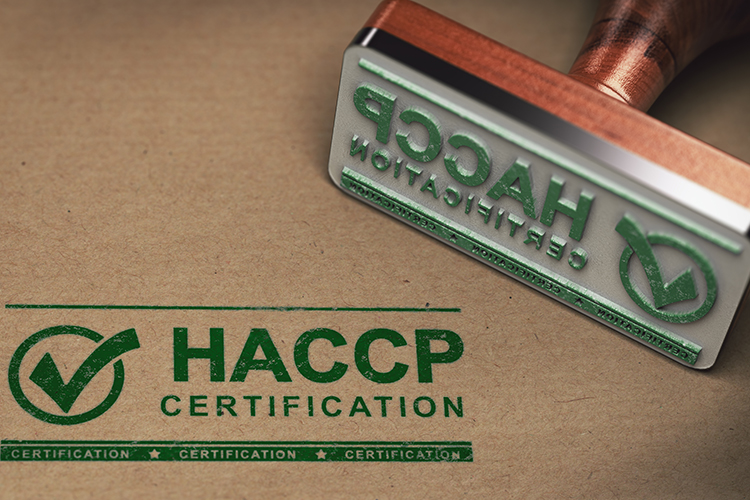 consulenza haccp