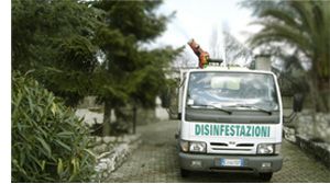 disinfestazione roma