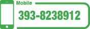 3938238912