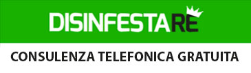 Consulenza Telefonica Gratuita